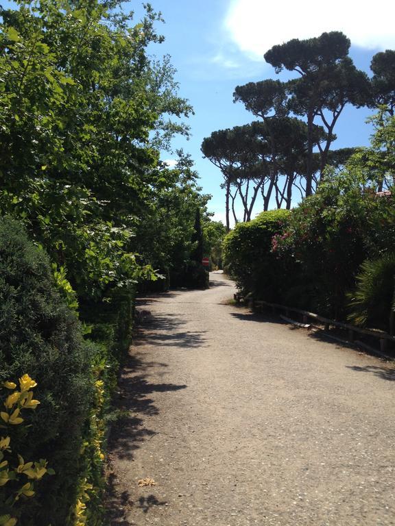 Camping Paradiso Viareggio Extérieur photo