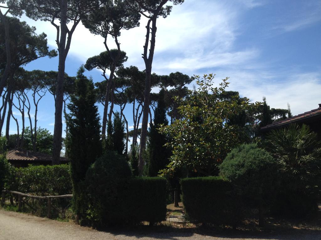 Camping Paradiso Viareggio Extérieur photo