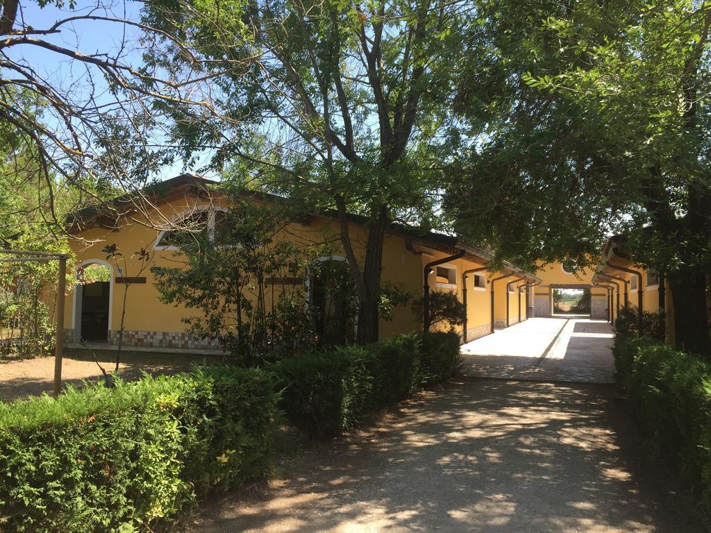 Camping Paradiso Viareggio Extérieur photo