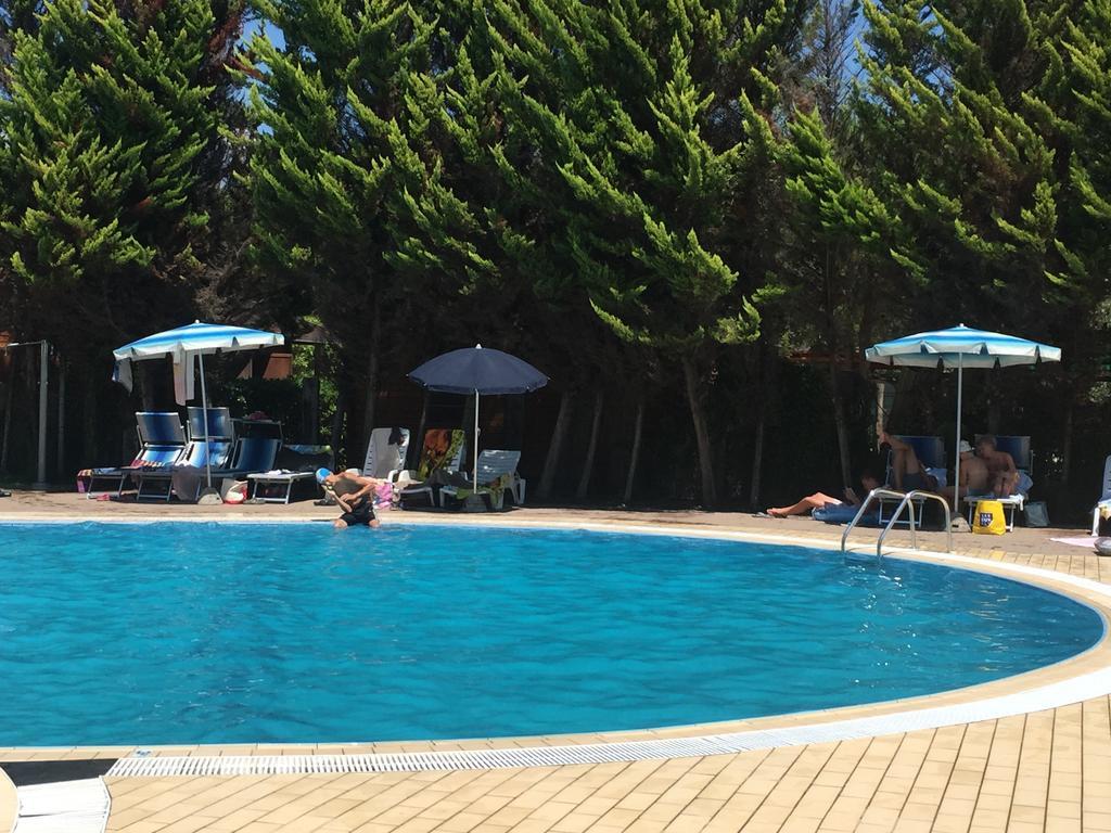 Camping Paradiso Viareggio Extérieur photo